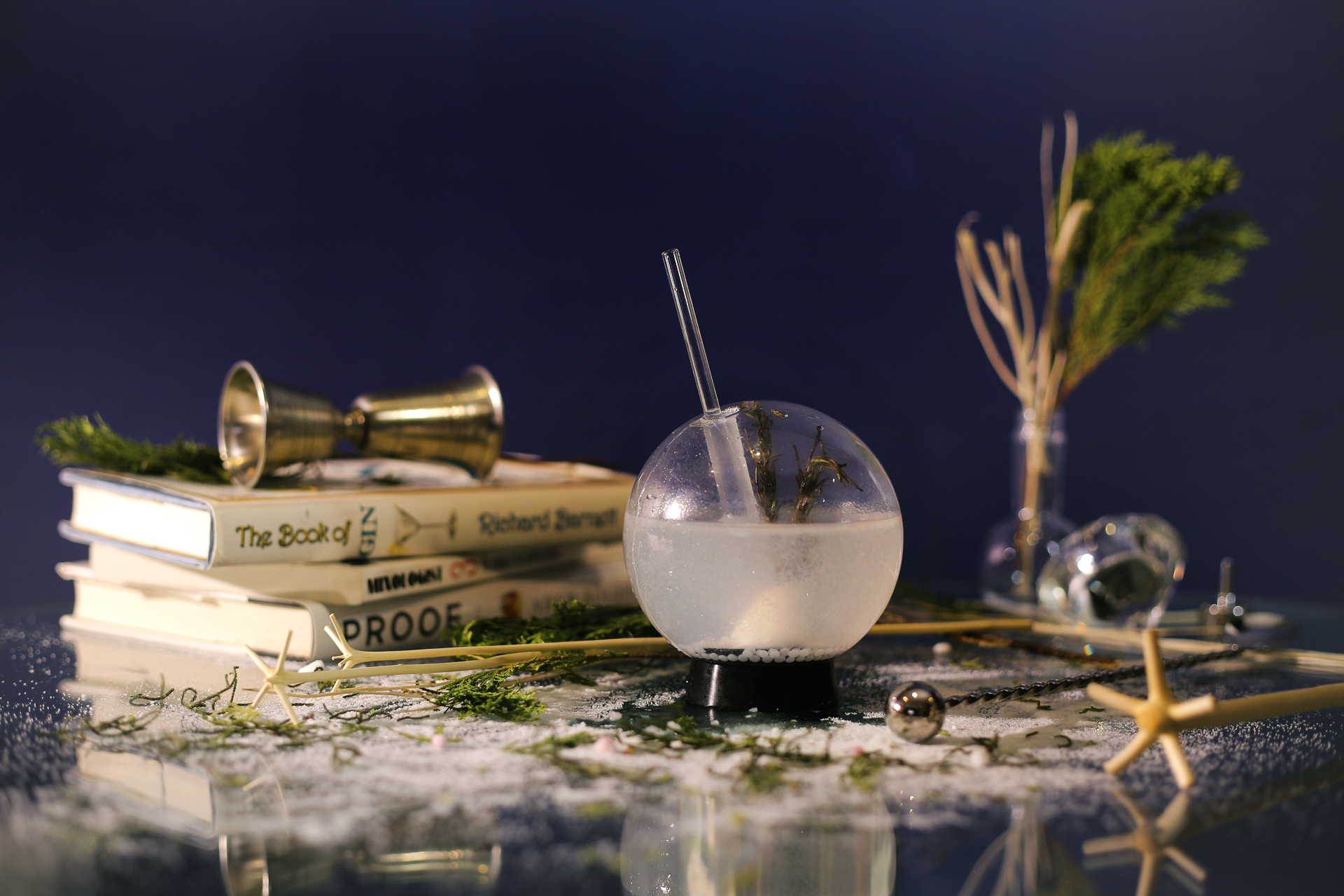 Snow Globe Gin & Tonic Recipe – Ficks Beverage Co
