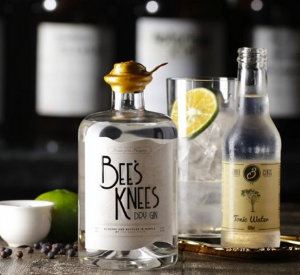 The Back Room’s famous The Bee's Knees Gin and Tonic Experience